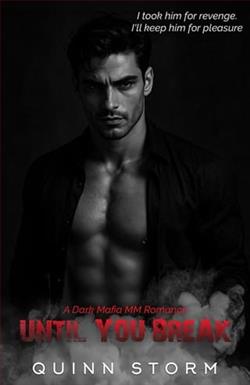 Until You Break by Quinn Storm