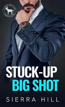 Stuck-Up Big Shot by Sierra Hill