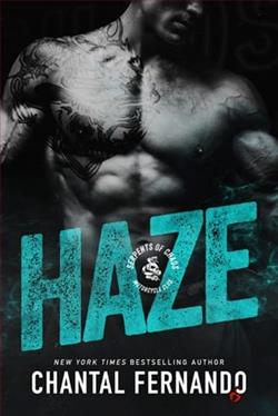 Haze by Chantal Fernando