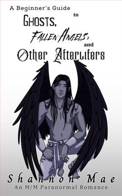 A Beginner's Guide to Ghosts, Fallen Angels, and Other Afterlifers by Shannon Mae