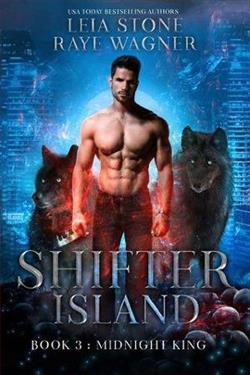 Midnight King by Leia Stone