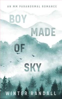 Boy Made of Sky by Winter Randall
