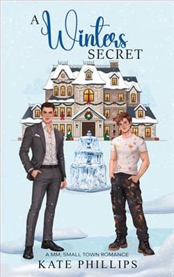 A Winter's Secret by Kate Philips