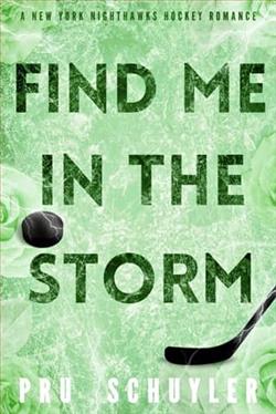 Find Me in the Storm by Pru Schuyler